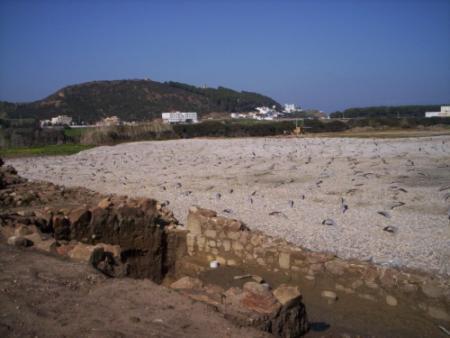 atarat_mohamad@hotmail.com